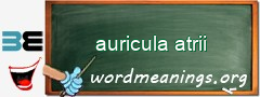 WordMeaning blackboard for auricula atrii